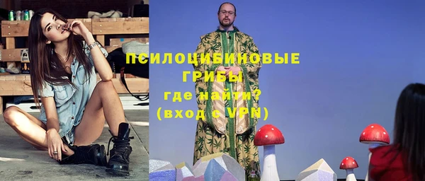 гидра Абаза