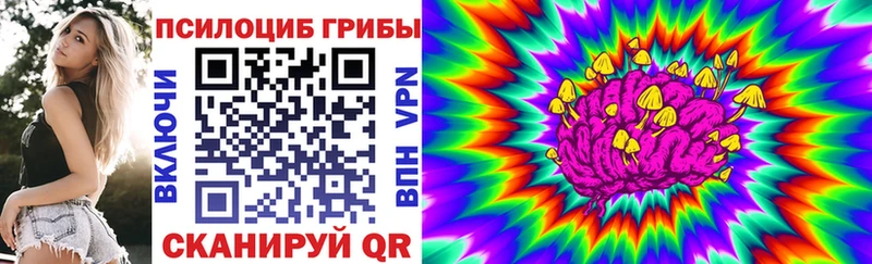 Псилоцибиновые грибы MAGIC MUSHROOMS  наркота  Губкин 