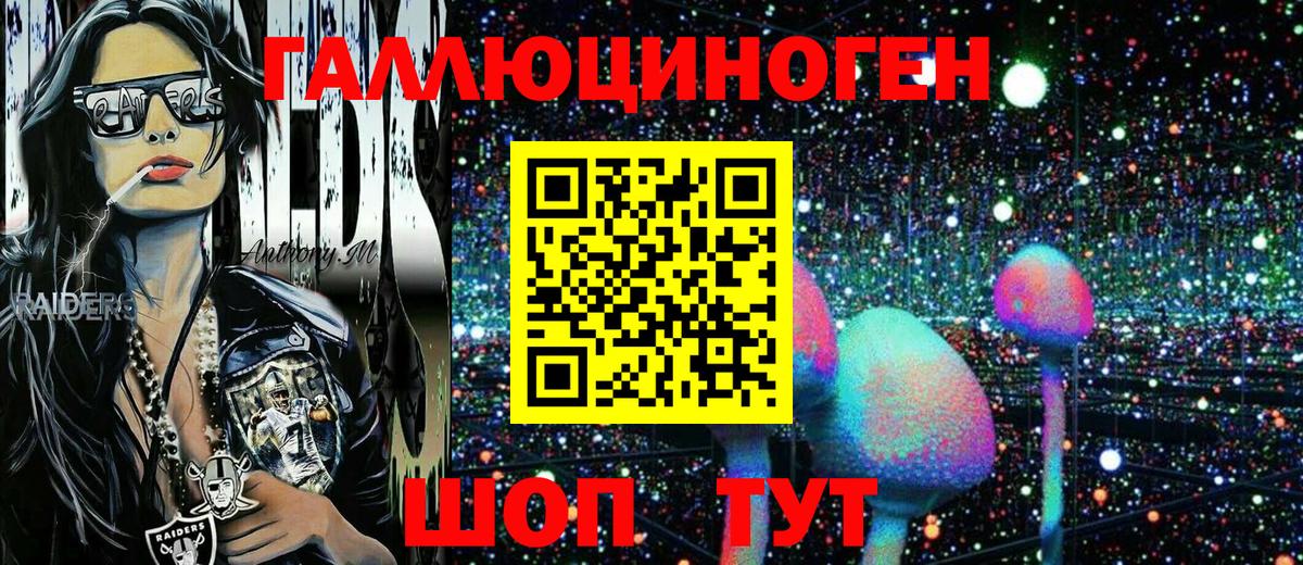Губкин  Псилоцибиновые грибы GOLDEN TEACHER  Вход с VPN 
